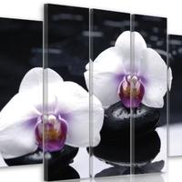 Quadro multipannello