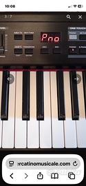 ROLAND RD 300 sx