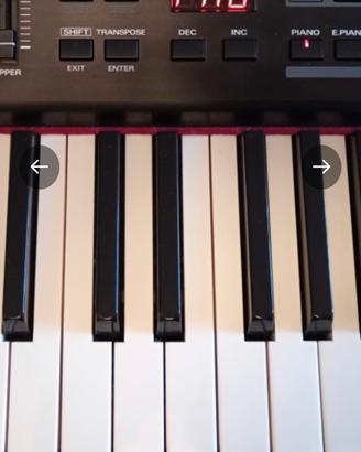 ROLAND RD 300 sx