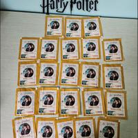Harry Potter Wizarding World Magiche Amicizie Cona