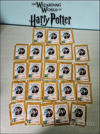 Harry Potter Wizarding World Magiche Amicizie Cona