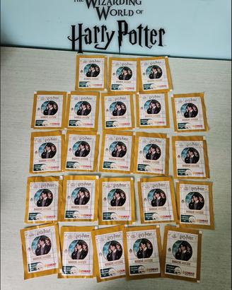 Harry Potter Wizarding World Magiche Amicizie Cona