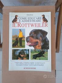 Come Educare E Addestrare Il Rottweiler Italia '99