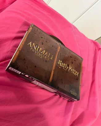 Valigetta di Harry Potter  e animali fantastici 