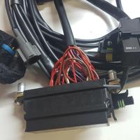 Ducati SS 2003 620 800 S 2003 Ducati cablaggio imp