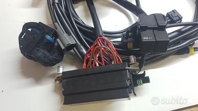 Ducati SS 2003 620 800 S 2003 Ducati cablaggio imp