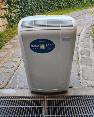 pinguino DeLonghi  climatizzatore 
