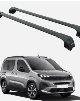 Barre portapacchi alluminio NUOVE per Peugeot Rift