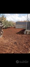 Terreno in zona ben servita