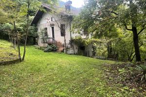 Villino immerso in un bosco di 60000 mq esclusivo