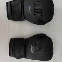 Guantoni da boxe Leone