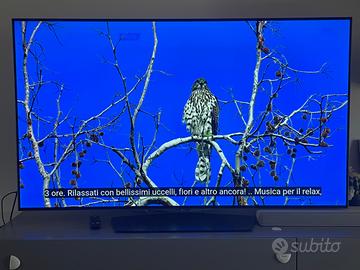 Tv LG 55 pollici oled pannello ultra sottile