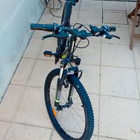 bicicletta bambino 24