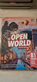 Open World B1