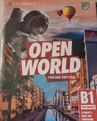 Open World B1