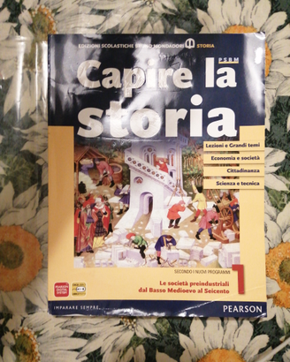 Capire la storia