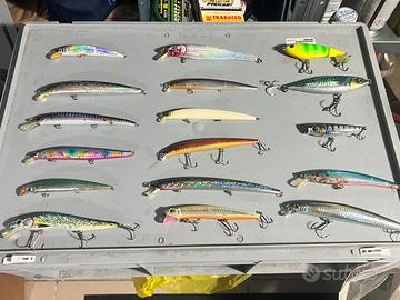 Jerk,minnow,lipless,Rapala,spigola,bass,trota