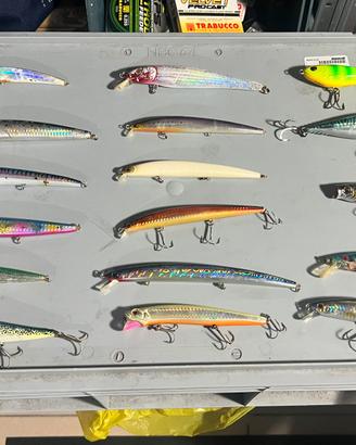 Jerk,minnow,lipless,Rapala,spigola,bass,trota