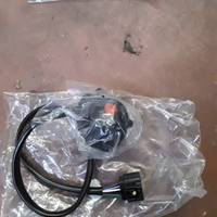 GU01738090 devio luci sinistro V11