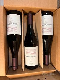 Vino Terre di Perseto Metello Toscana IGT 6x0,75L