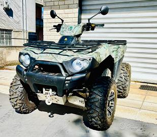 Quad kawasaki brute force 750