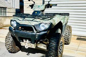 Quad kawasaki brute force 750