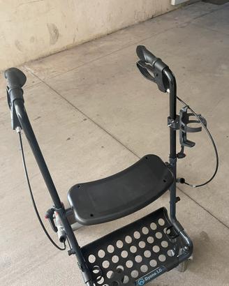 Carrello disabili