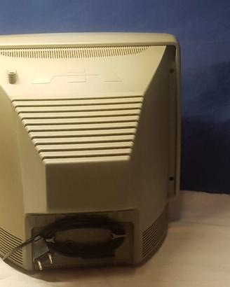 Tv  colori 14 pollici funzionante con  telecomando