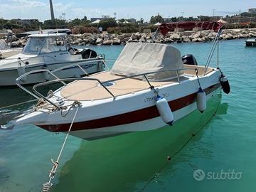 Albatros 646 Walk Around