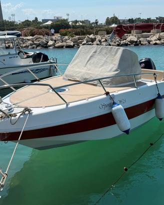 Albatros 646 Walk Around