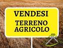 terreno-agricolo
