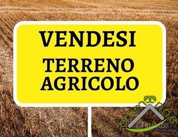 TERRENO AGRICOLO