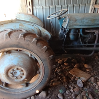 Trattore d'epoca Massey Ferguson TEF 20-1954