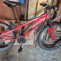 bicicletta ragazzo 