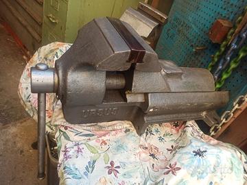 morse ursus numero 7 e 4