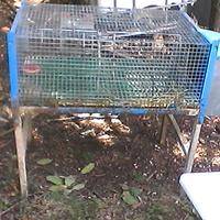 Gabbia conigli