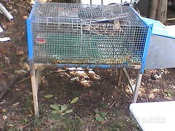 Gabbia conigli