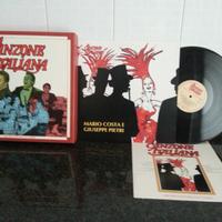 Collezione dischi in vinile