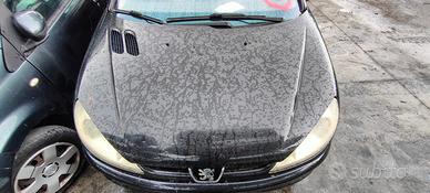 PEUGEOT 206 CABRIO 2005 COFANO ANTERIORE