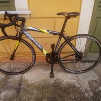  bici da corsa torpado