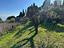 Immagine 9