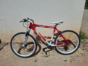 Bicicletta thunder 461 