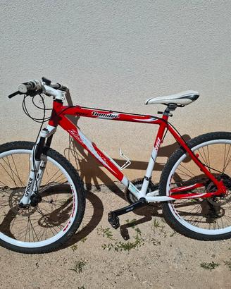 Bicicletta thunder 461 