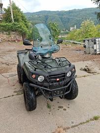 QUAD Aeon 300 cc. AU20