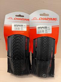 Coppia copertoni gravel