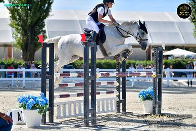 Mezzafida cavalli da salto