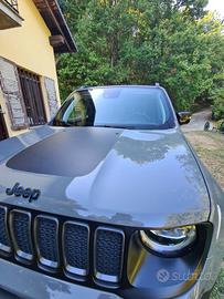 jeep Renegade  trailhawak