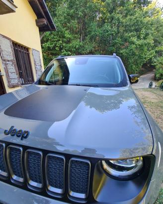 jeep Renegade  trailhawak