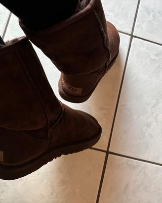 Ugg marrone