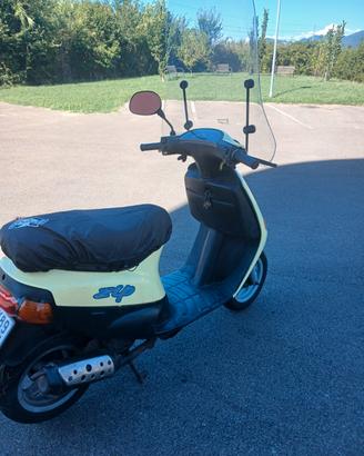 Zip Piaggio Anno 1998